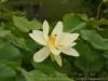 DSC04927 DSC04927