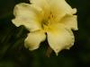 DSC05112 DSC05112