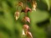 DSC05165 DSC05165