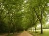 DSC05179 DSC05179