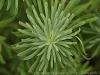 DSC05144_1 DSC05144_1