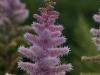 DSC04984 DSC04984