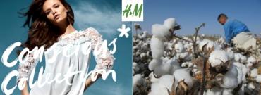 H&M, premier utilisateur de coton bio au monde