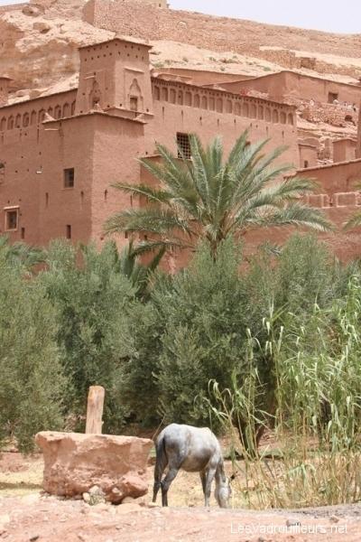 La route des Kashbas au Maroc La route des Kashbas au Maroc