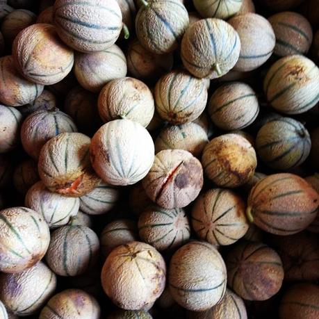 Chez papily et mamilie IMG_0387.JPG