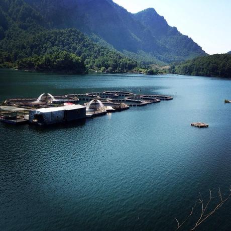 #Geekirc : Quelques photos de vacances ! 20140809-220955-79795864.jpg