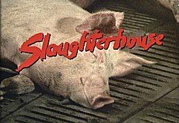slaughterhouse004