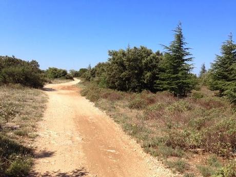 Roquemaure, colline de l'Aspre Roquemaure, colline de l'Aspre