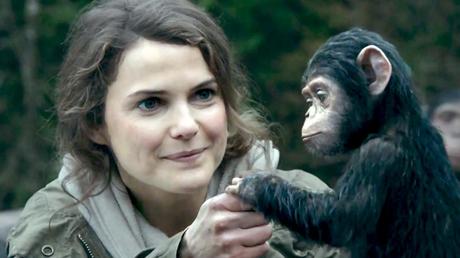 La planète des singes : l’affrontement ou le passage à vide ? La planète des singes : l’affrontement ou le passage à vide ?