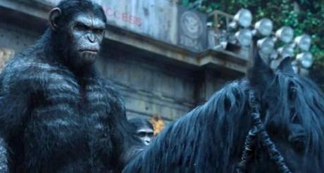 La planète des singes : l’affrontement ou le passage à vide ? La planète des singes : l’affrontement ou le passage à vide ?