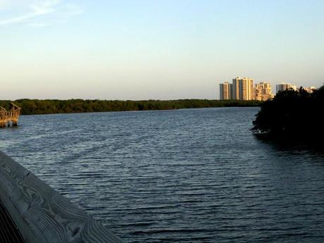 Les USA insolites: quand des expatriés nous délivrent leurs petits secrets palm beach gardens