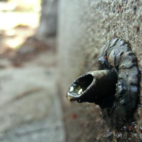 もののあはれ - Mono no Aware Project #13 もののあはれ - Mono no Aware Project #13