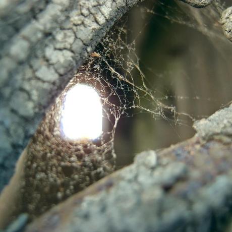 もののあはれ - Mono no Aware Project #13 もののあはれ - Mono no Aware Project #13