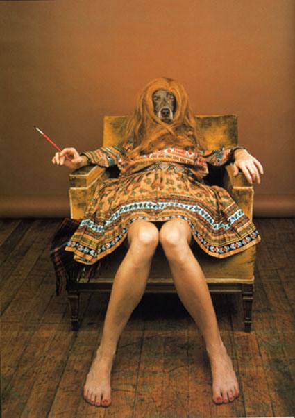 La photographie du jour William Wegman