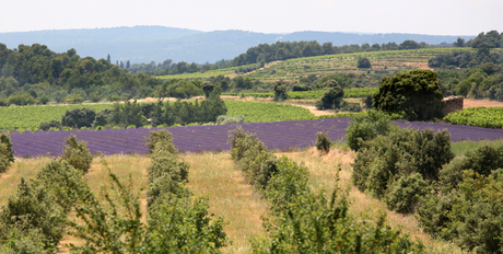 Halte dans le Luberon : Le mas de Cink Halte dans le Luberon : Le mas de Cink