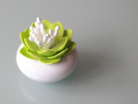 deco_01 ~ Déco : mes achats coups de cœur ~