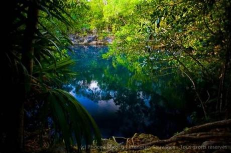 cenotes-yucatan-plongee-mogwaii (2)