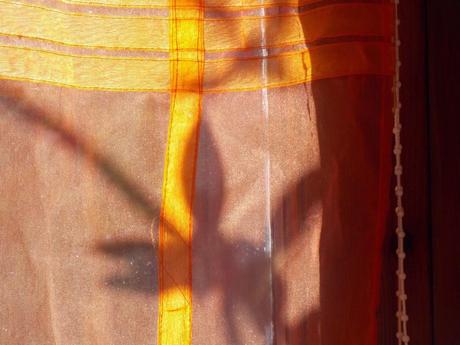 sépia et vieilles dentelles sépia et vieilles dentelles