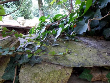 sépia et vieilles dentelles sépia et vieilles dentelles