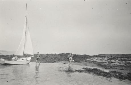 sépia et vieilles dentelles sépia et vieilles dentelles