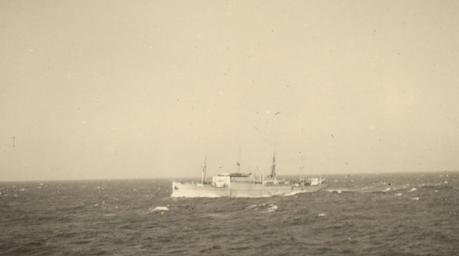 sépia et vieilles dentelles sépia et vieilles dentelles