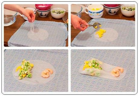 Rouleaux de printemps avocat et mangue Rouleau de printemps