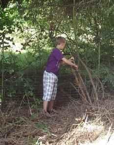 Quelques photos … DSCF2374