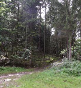 Quelques photos … DSCF2429