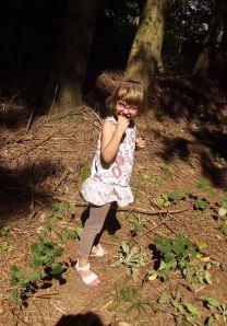 Quelques photos … DSCF2378