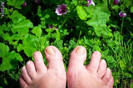 Un air de vacances / A Holiday Atmosphere Paresse Estivale / Summer Laziness