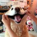 Ne me prenez pas pour ce que je ne suis pas.... De toute ... Please, n'envoyer plus de messages à Marigotine (elle croit qu'elle fait rire les lecteurs)...LOL