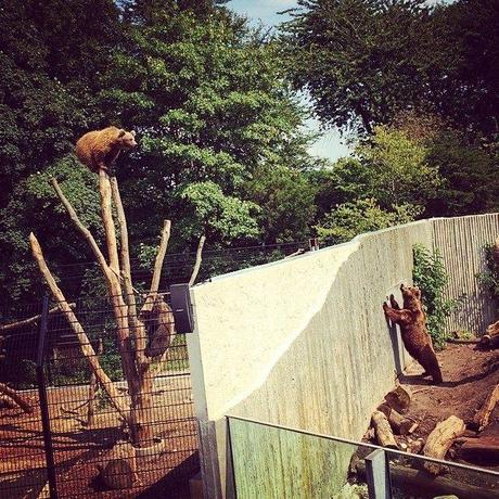 Ne me prenez pas pour ce que je ne suis pas.... De toute ... Je t'aime mon