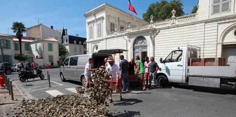 Charente-Maritime : les conchyliculteurs à bout de nerfs