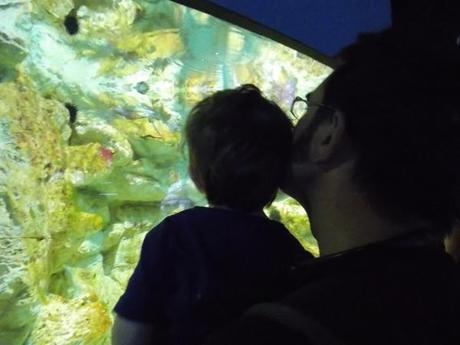 L'aquarium de la Rochelle