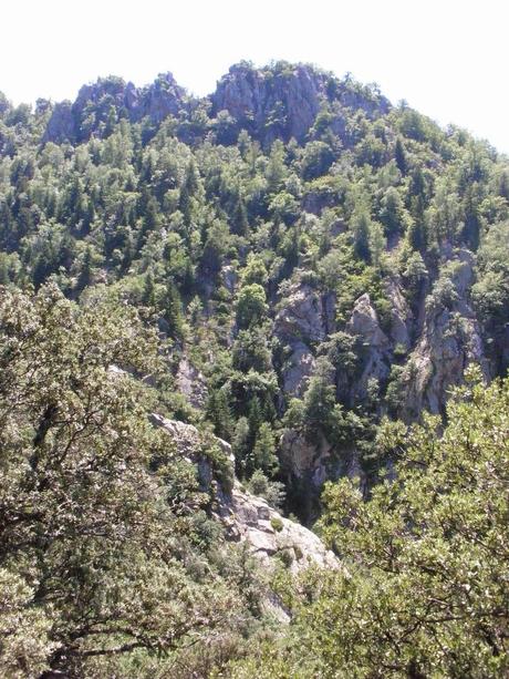 Vernet les bains - Rando St Martin du Canigou