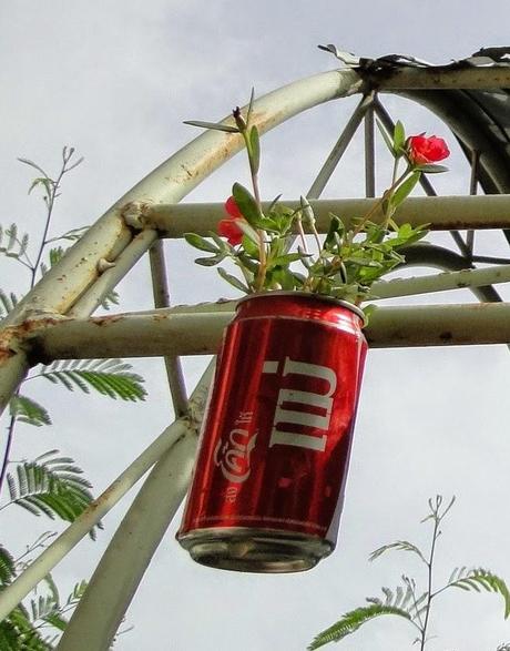 Ban-Coke, la citée des fleurs