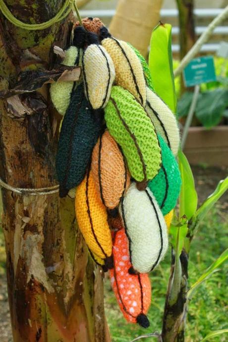 Le tricot s'invite au jardin botanique