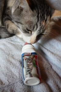 Nounoune a testé la Miaoubox d’août! miaou 001