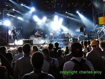 Sziget Festival 2014 - Budapest - du 11 au 18 août 2014 : troisième jour. 2zgirl-inhawai.jpg