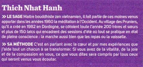 L'appel de la pleine conscience et la méditation des cailloux avec Thich Nhat Hanh