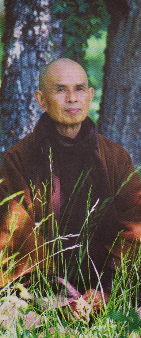 L'appel de la pleine conscience et la méditation des cailloux avec Thich Nhat Hanh