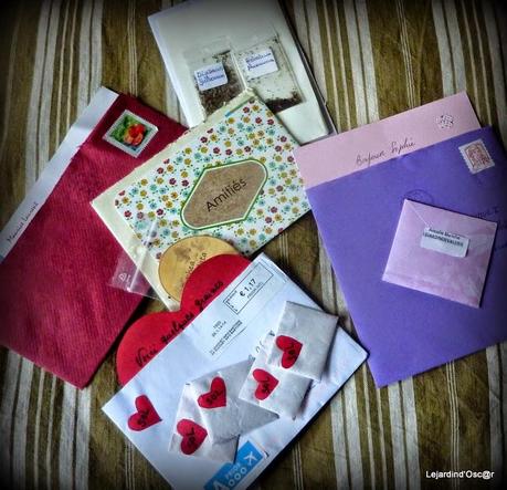 Seeds et Bilan de mes semis... Seeds et Bilan de mes semis...