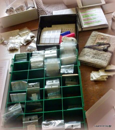 Seeds et Bilan de mes semis... Seeds et Bilan de mes semis...