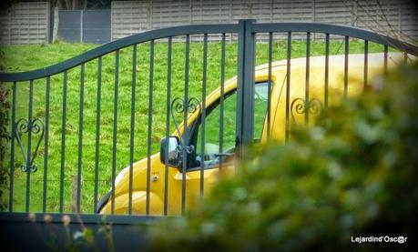 Seeds et Bilan de mes semis... Seeds et Bilan de mes semis...