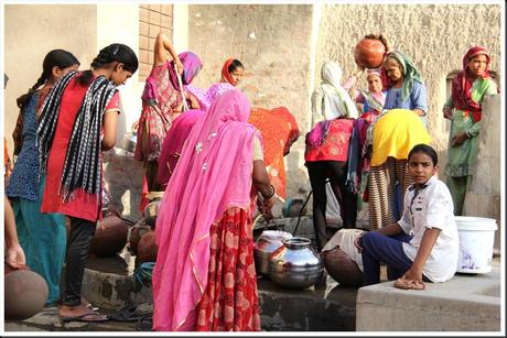 Rajasthan 2ème partie 623 Rajasthan 2ème partie 623