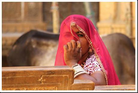 Rajasthan 2ème partie 482b Rajasthan 2ème partie 482b