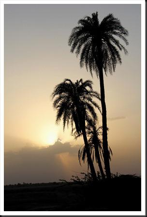 Rajasthan 2ème partie 636 Rajasthan 2ème partie 636