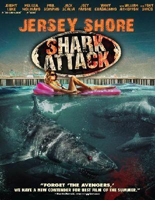 jersey-shore-shark-attack