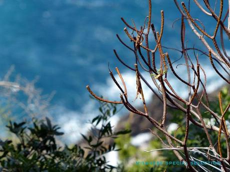 Fini les vacances ! vacances rentrée Capri capri by milanese special selection 13 Fini les vacances !