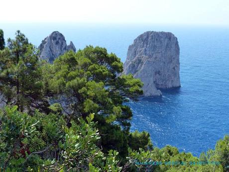 Fini les vacances ! vacances rentrée Capri capri by milanese special selection 8 Fini les vacances !